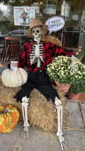 City fall festival boasts full lineup of activities